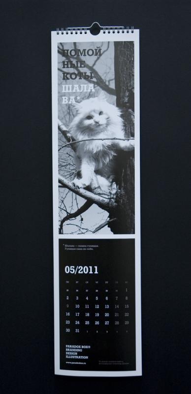 Антигламурний календар з помийними котами, белоукраінскій жіночий портал