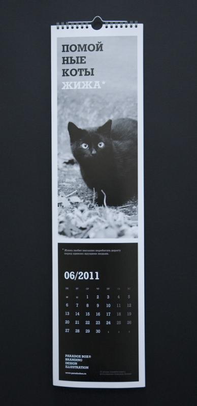 Антигламурний календар з помийними котами, белоукраінскій жіночий портал