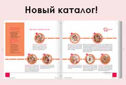 Egyesület szépség üzleti, a fő (vesz egy készüléket a permanent make-up) Egyesület szépség üzleti, a fő