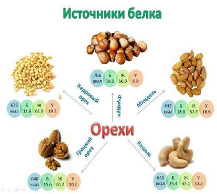 Білкові продукти для схуднення список