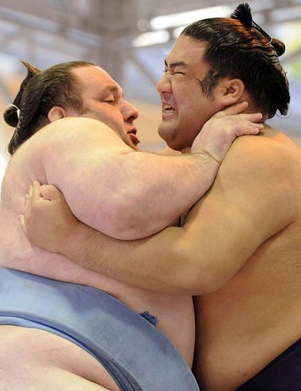 Боротьба сумо - новини в фотографіях