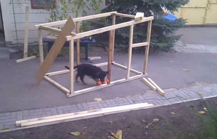 Booth pentru un câine cu mâinile lor cum să construiască și unde să instalați