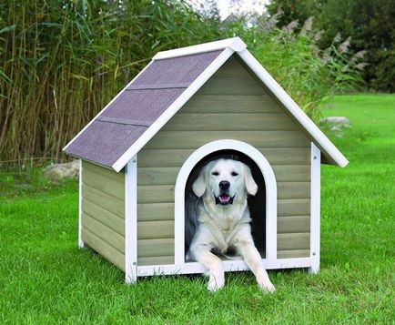 Booth pentru un câine cu mâinile lor cum să construiască și unde să instalați