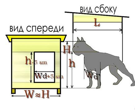 Будка для собаки своїми руками як побудувати і де встановити