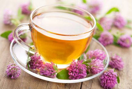 Ceaiul din trifoi - proprietăți utile și contraindicații