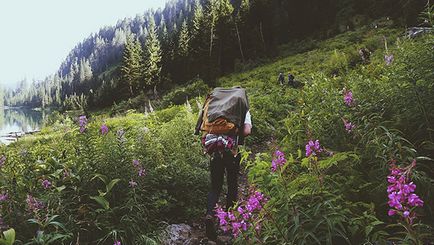 Decât să ștergi rușinea în campanie, dacă ești un ecolog radical, o revistă birdy