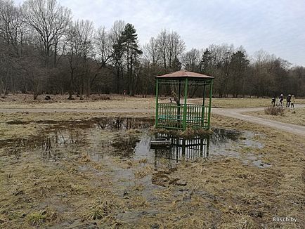 Ce să faci în parc - dăunători, denis blisch