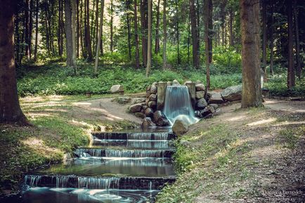 Ce să faci în parc - dăunători, denis blisch