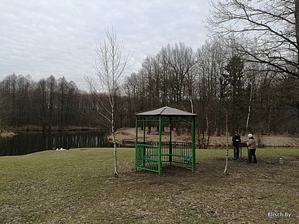 Ce să faci în parc - dăunători, denis blisch