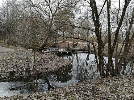 Ce să faci în parc - dăunători, denis blisch