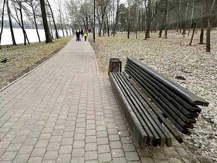 Ce să faci în parc - dăunători, denis blisch