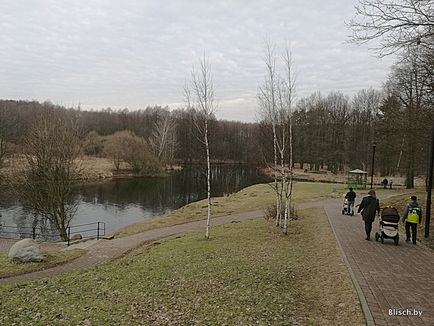 Látványosságok a parkban - feketerigó, Denis blisch