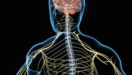 Ce să faceți după un al doilea accident vascular cerebral de slăbiciune, dureri de spate