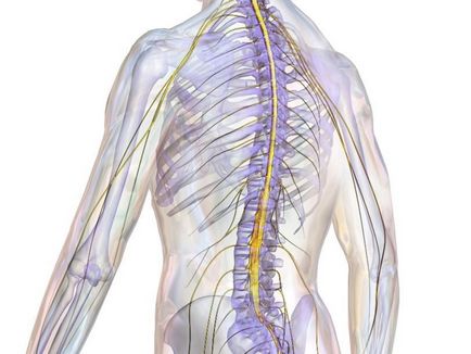 Mi a teendő, miután a második stroke, izomgyengeség, hátfájás