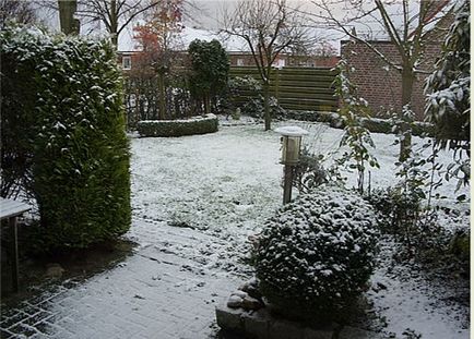 Що робити зі снігом в саду