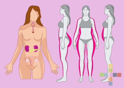 Ce și când există pentru a menține echilibrul hormonal (hormonal) Ce și când să mănânce echilibrul hormonal