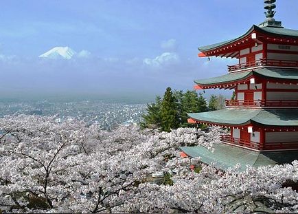 Цвітіння сакури в Японії - свято ханами - 2017 відгуки та форум - їздили-знаємо!