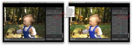 Színes profilok és nyers Lightroom (Lightroom) Színes profilok és nyers Lightroom