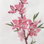 Квітучий персик в японського живопису