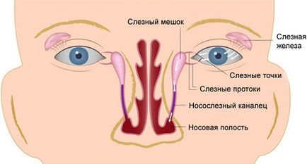 Dacryocystitis la nou-nascuti, simptome si tratament, masaj ocular cu dacryocystis congenital