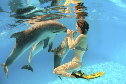 Terapia cu delfini, terapia cu delfini pentru copii, terapia delfinilor din Moscova