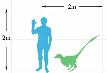 Dinozaurul Velociraptor