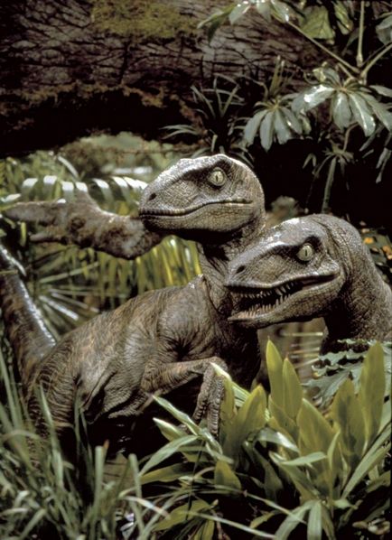 dinoszaurusz Velociraptor