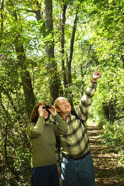 Casă aflată sub aranjamentul de pădure a terenului forestier