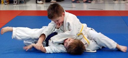 Judo, centru de arte marțiale - lotus alb