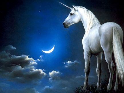 Unicorn - știri despre animale, animale rare și animale mitice