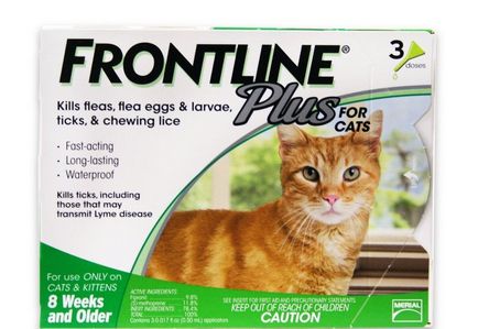 Frontline pentru pisici (45 de fotografii) picături de purice pentru pisoi, combo pentru câini,