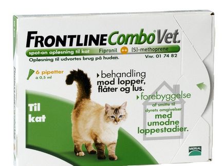 Фронтлайн для кішок (45 фото) краплі від бліх для кошенят, комбо для собак, використання від кліщів,
