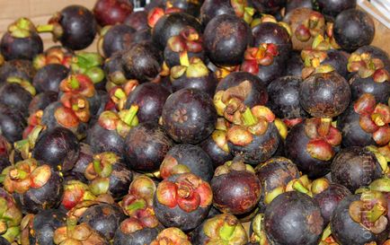Mangosztán gyümölcs (mangosztán) (mangkut gyümölcs) Mangosztán gyümölcs (mangosztán)