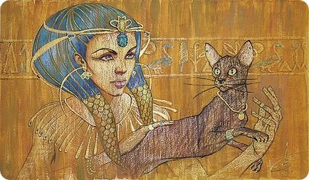 Galla abdel fattah femeie și pisică