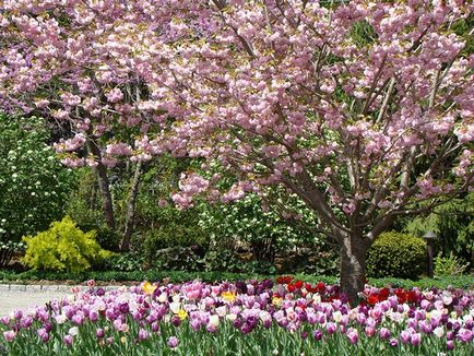 Gardening, які препарати для обробки саду сумісні між собою