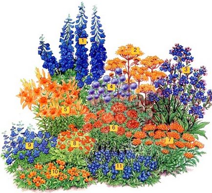 A harmonikus színek, kedvenc virágok