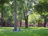 Гарвардський університет (harvard university)