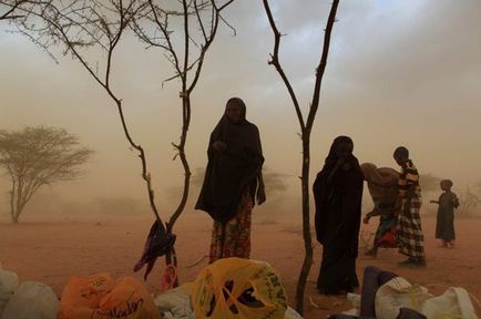 Éhező afrikai gyermekek (21 kép) (Dagahali közelében Dadaab) Éhező afrikai gyermekek (21 fotó)