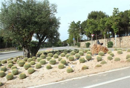 Mountain Montjuïc Barcelona, ​​hogyan lehet eljutni a Montjuic