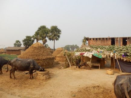 Індійська село