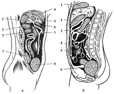 Infecții în chirurgia abdominală