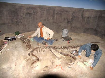 Цікаві факти кістки динозаврів