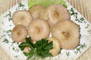 Cum să pregătească rețete ryadovki pentru gătit ciuperci la domiciliu, site-ul de ciuperci