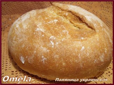 Milyen típusú kenyeret sütnek a különböző országokban