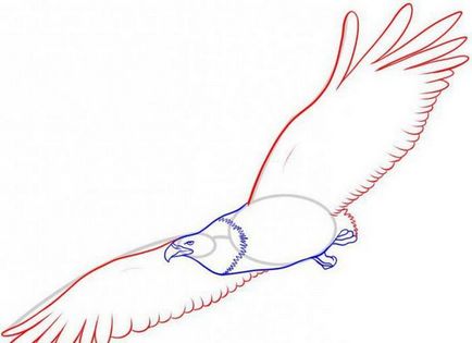 Як намалювати птаха поетапно олівцем