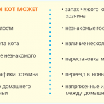 Як відучити кота гадити в недозволеному місці рада фахівця, в будинку на ліжко, скрізь і де