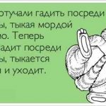 Як відучити кота гадити в недозволеному місці рада фахівця, в будинку на ліжко, скрізь і де