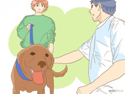 Cum să reîncărcați un umăr de câine