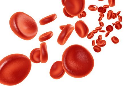 Як підвищити лейкоцити в крові - здоров'я інфо
