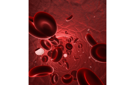 Як підвищити лейкоцити в крові - здоров'я інфо